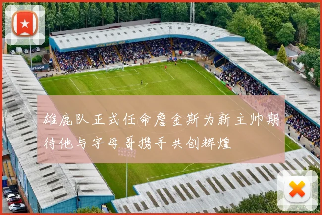 雄鹿队正式任命詹金斯为新主帅期待他与字母哥携手共创辉煌