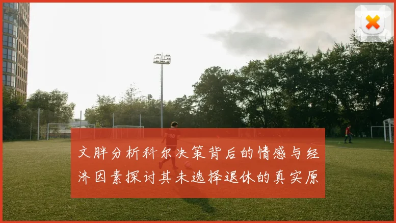 文胖分析科尔决策背后的情感与经济因素探讨其未选择退休的真实原因